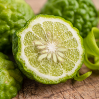 Bergamot (Citrus bergamia) - Organic Gourmet Oil