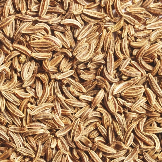 Caraway (Carum carvi) - Organic Essential Oil