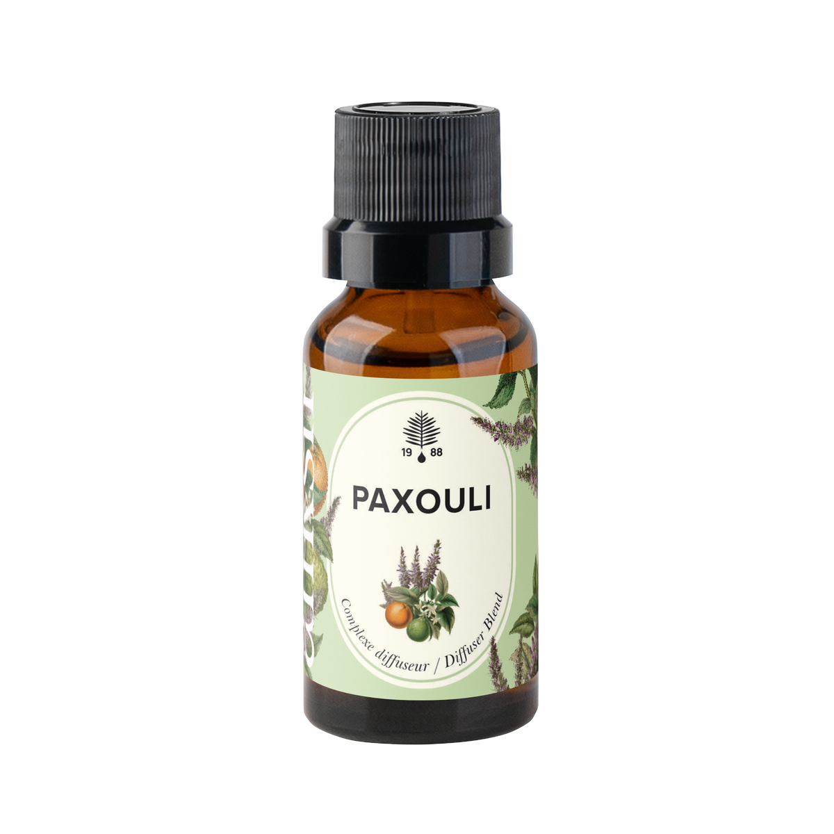 Paxouli - Complexe diffuseur