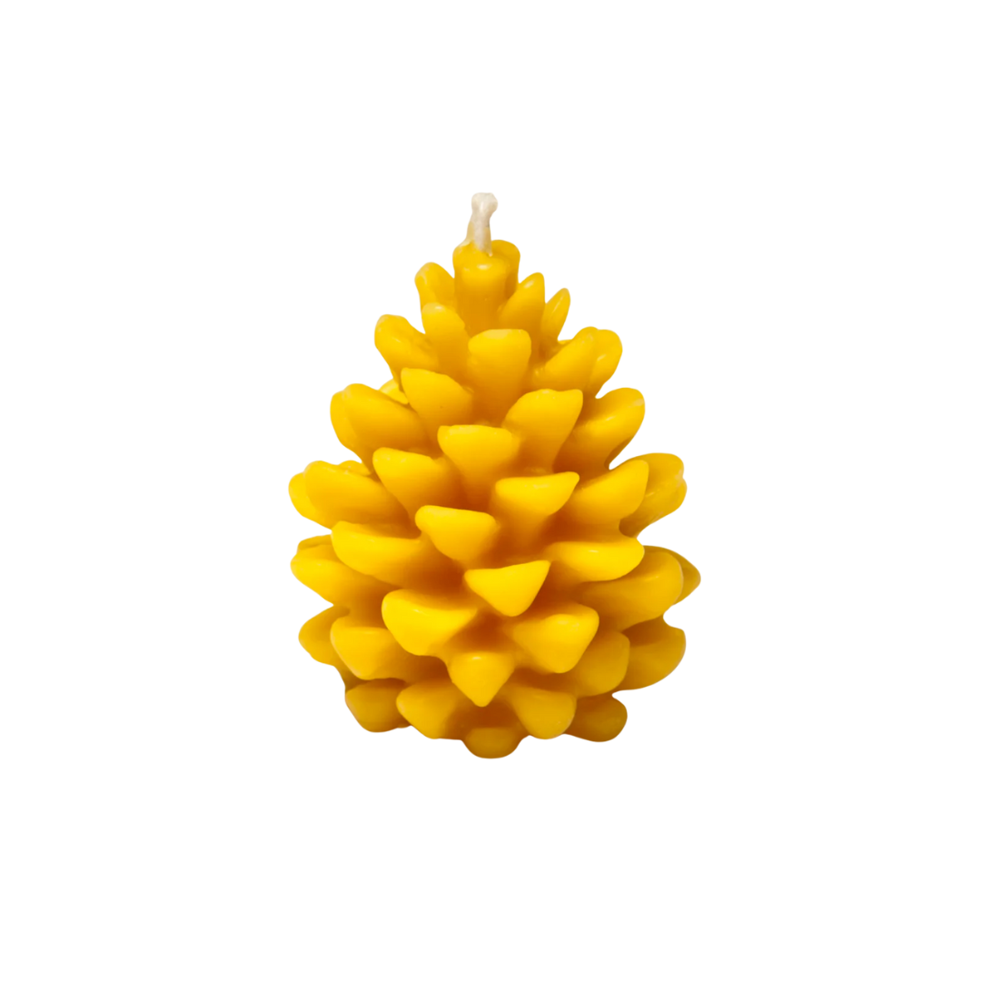 Chandelle en cire d’abeille 100 % pure