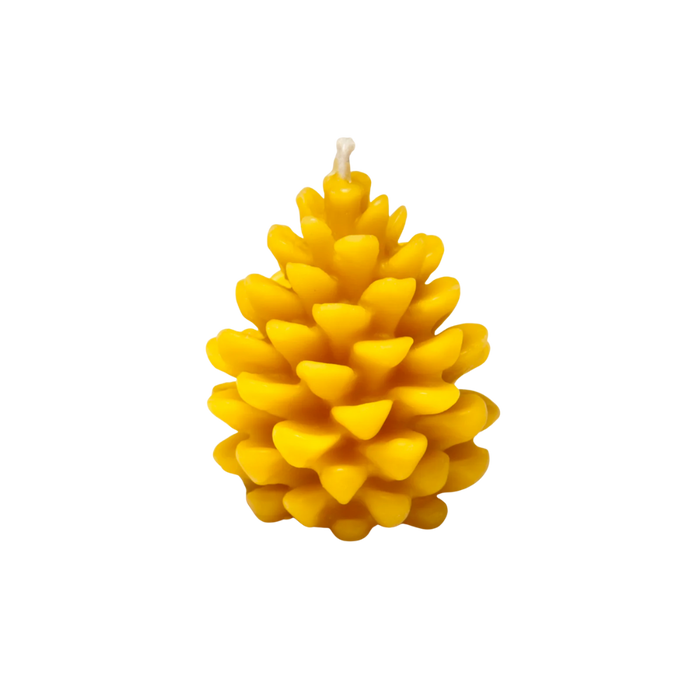 Chandelle en cire d’abeille 100 % pure