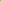 Lime (Citrus x aurantiifolia) - Organic Gourmet Oil