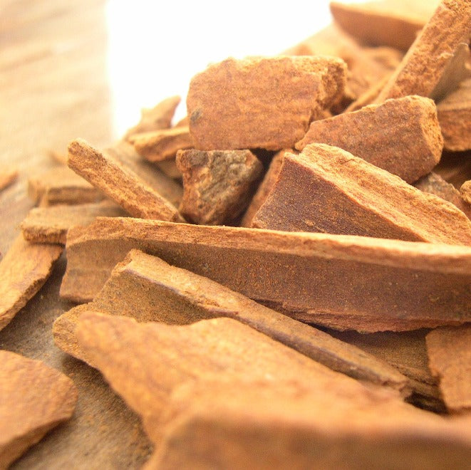 Cinnamon (Cinnamomum cassia) - Organic Gourmet Oil