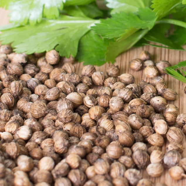 Coriander seed (Coriandrum sativum) - Organic Essential Oil