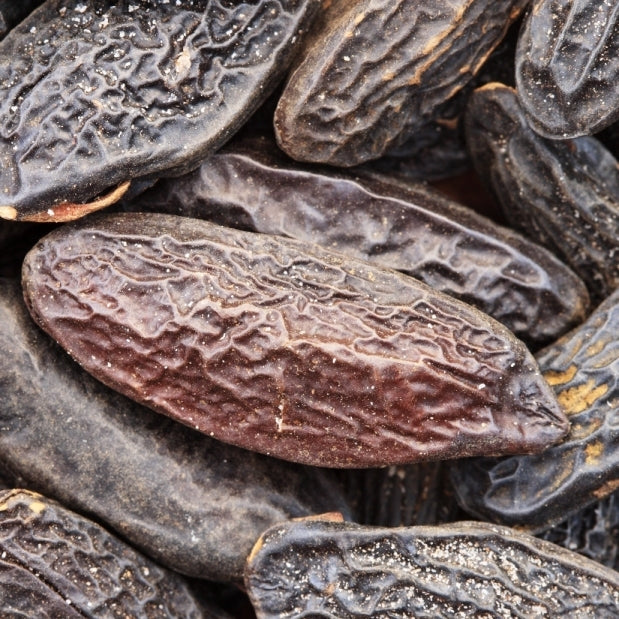 Tonka Bean (Dipteryx odorata) - Organic absolute