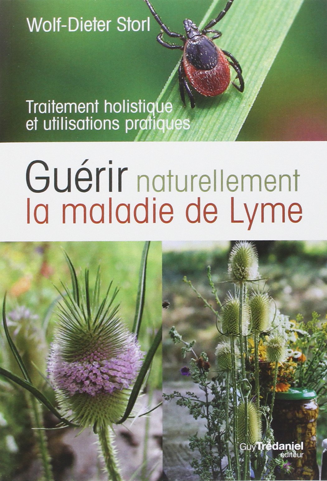 Cure Lyme Disease Naturally