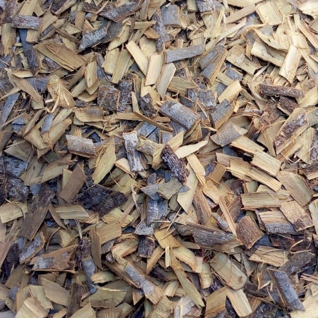 Katafray (Cedrelopsis grevei) - Huile essentielle