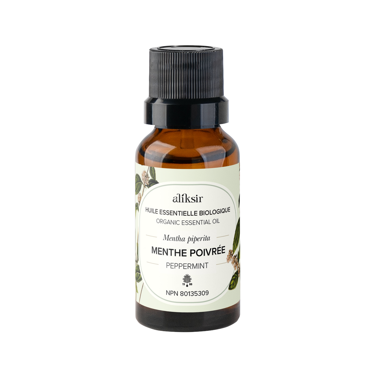 Peppermint (Mentha piperita) Natural Health Product (NHP) - Organic Essential Oil