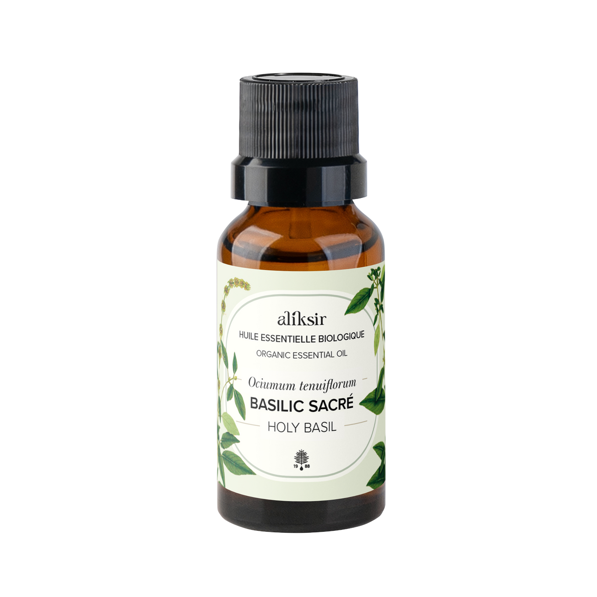Basilic sacré du Québec (Ocimum tenuiflorum) - Huile essentielle bio