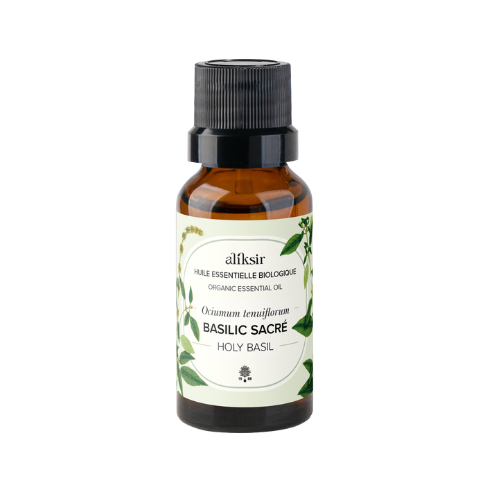 Basilic sacré du Québec (Ocimum tenuiflorum) - Huile essentielle bio