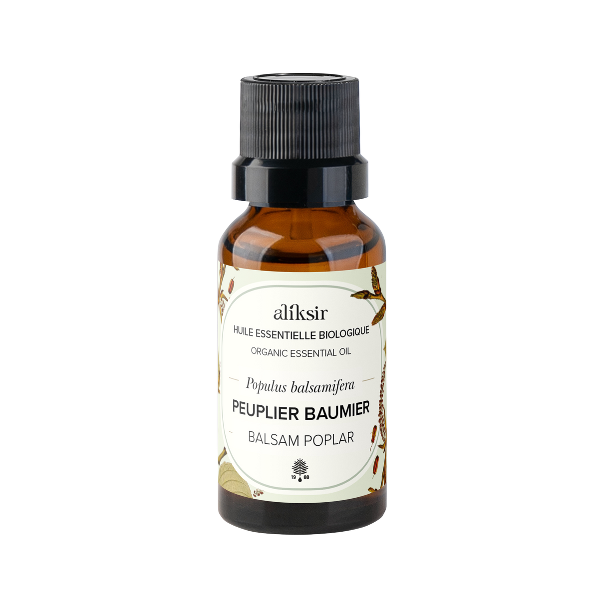 Balsam Poplar (Populus balsamifera) - Organic Essential Oil