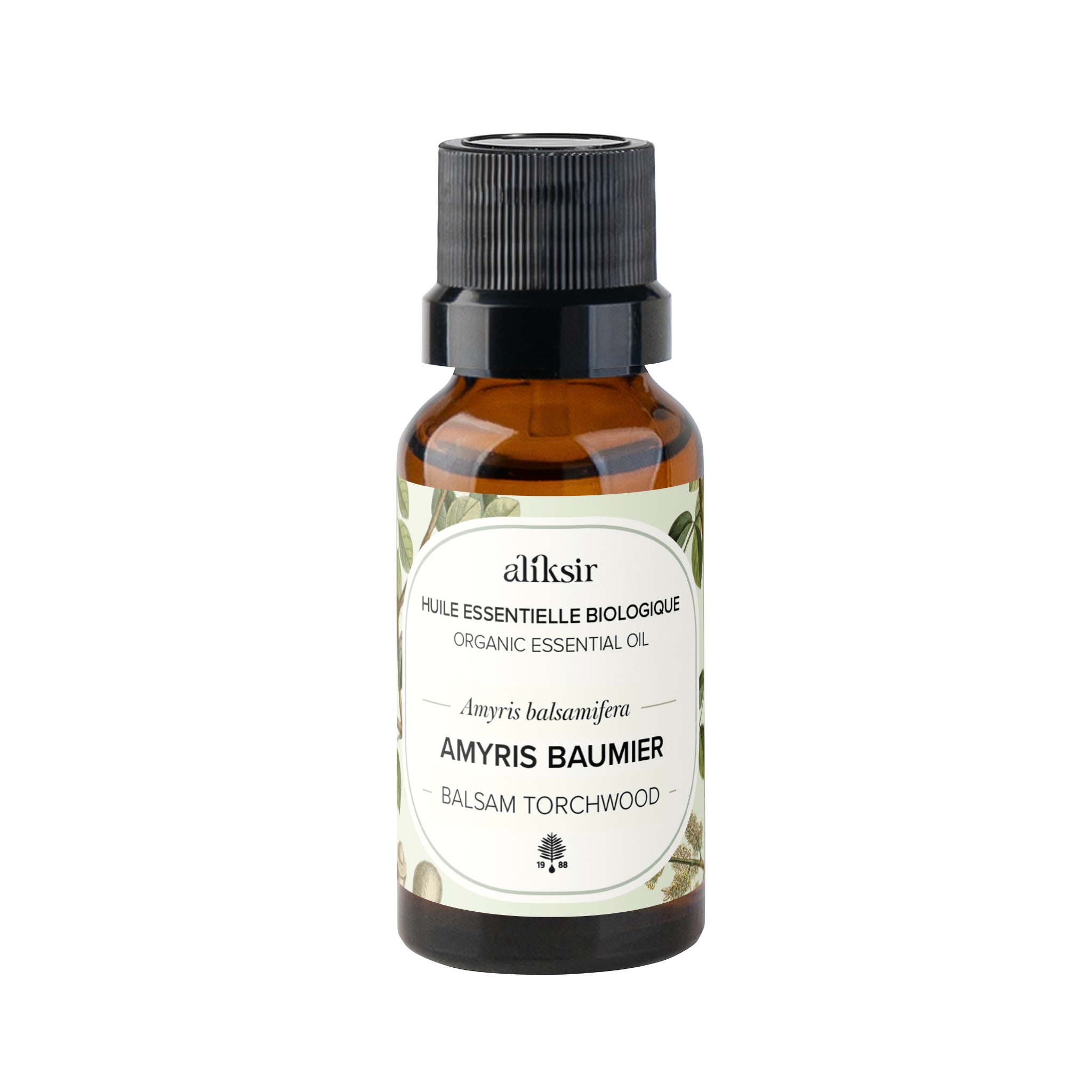 Amyris balsam (Amyris balsamifera) - Essential Oil