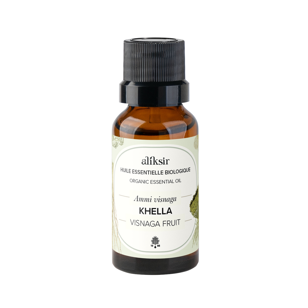 Khella (Ammi visnaga) - Organic Essential Oil