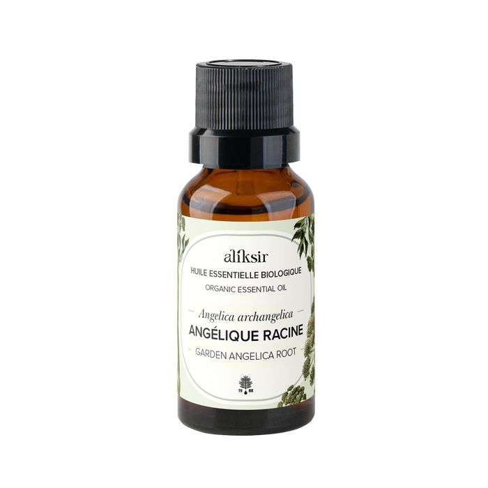 Angélique vraie racine (Angelica archangelica) - Huile essentielle bio