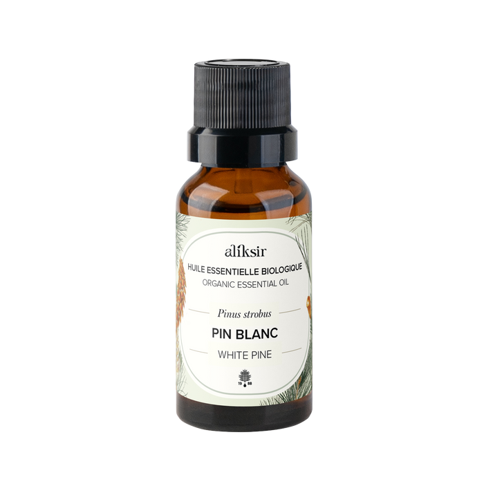 White Pine (Pinus strobus) - Organic Essential Oil 