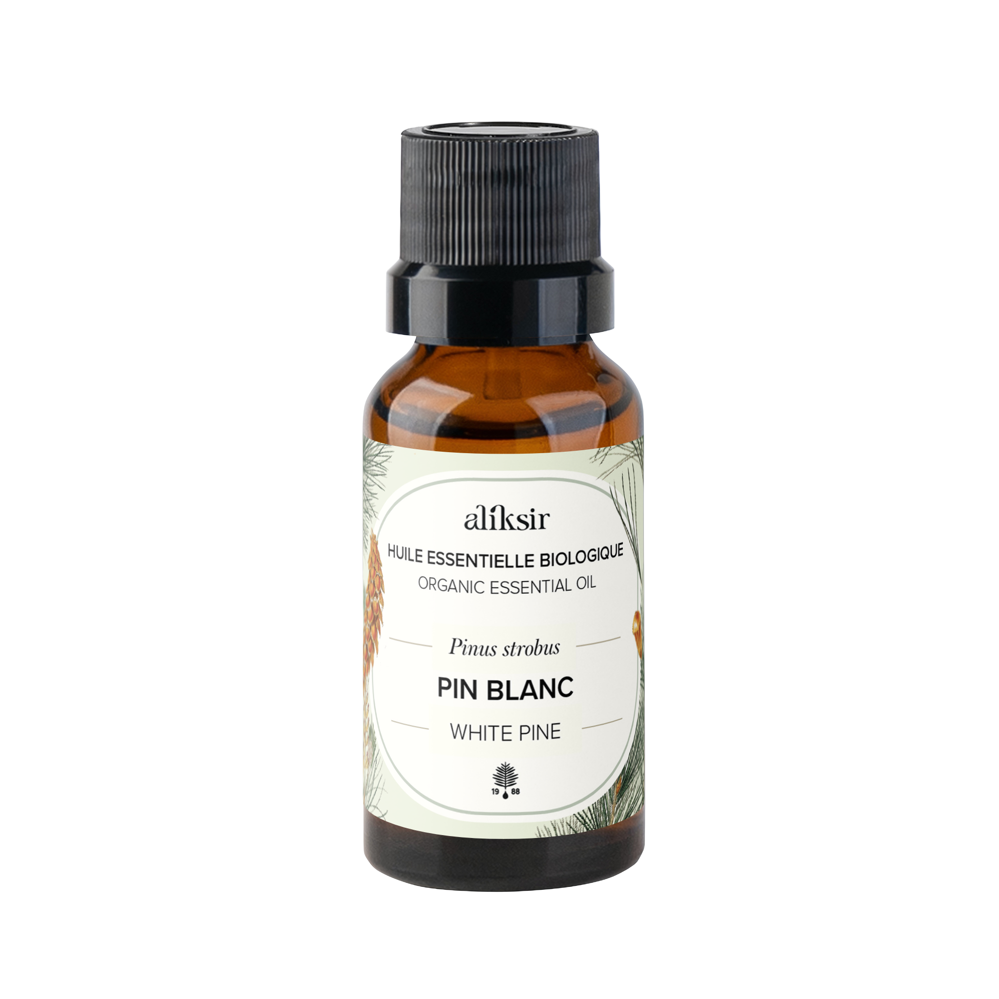 White Pine (Pinus strobus) - Organic Essential Oil 