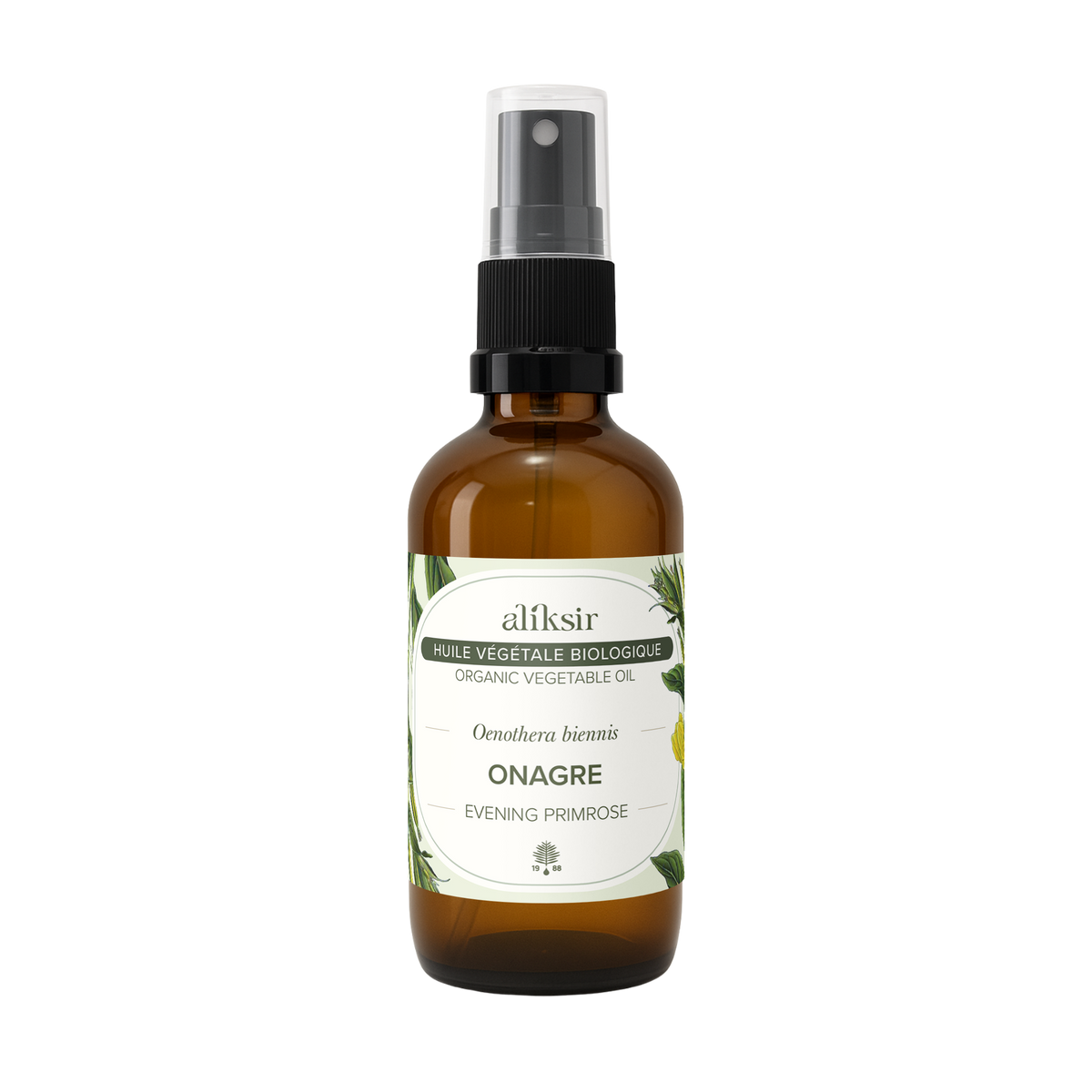 Evening Primrose (Oenothera biennis) - Organic Virgin Vegetable Oil