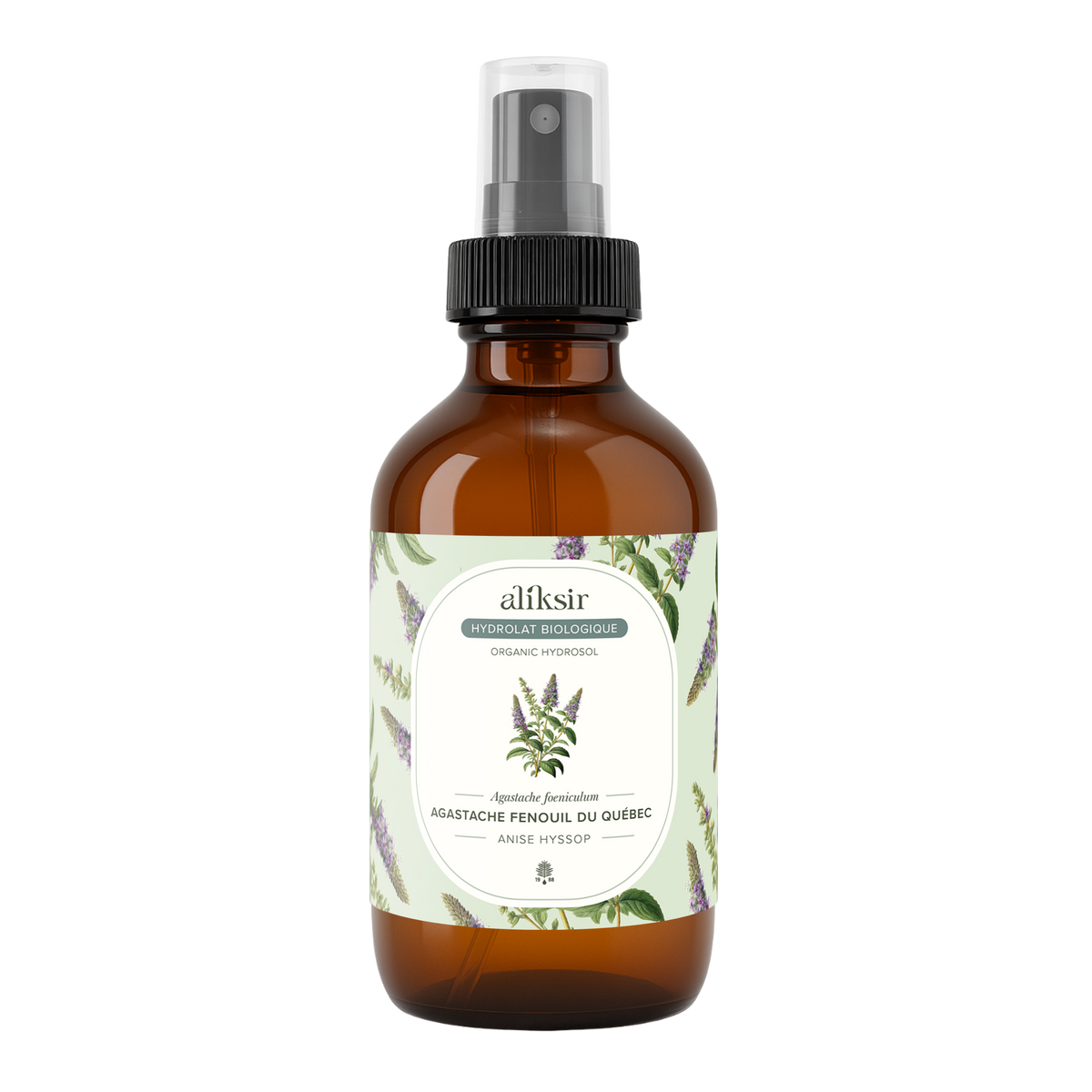 Agastache fenouil (Agastache foeniculum) - Hydrolat biologique du Québec