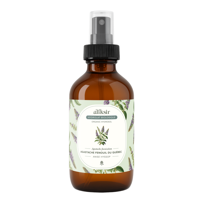 Agastache fenouil (Agastache foeniculum) - Hydrolat biologique du Québec