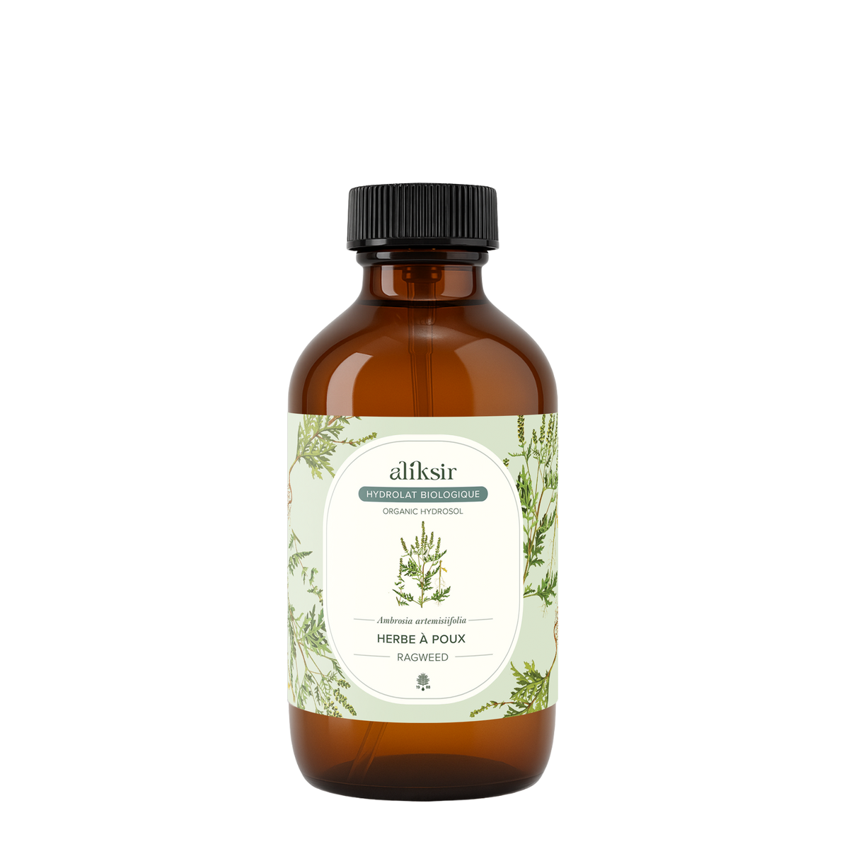 Herbe à poux (Ambrosia artemissiifolia) - Hydrolat bio