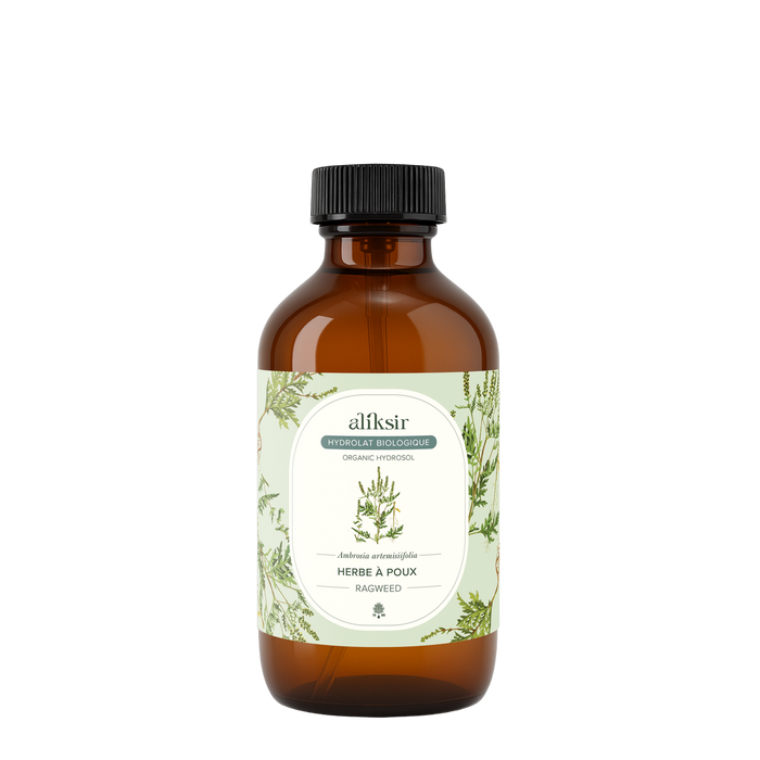 Herbe à poux (Ambrosia artemissiifolia) - Hydrolat bio
