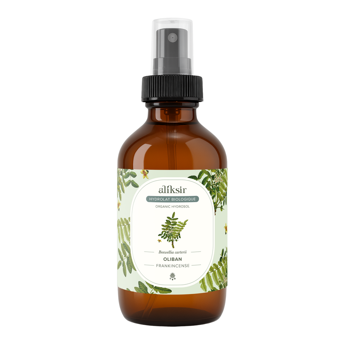 Frankincense (Boswellia carterii) - Organic Hydrosol