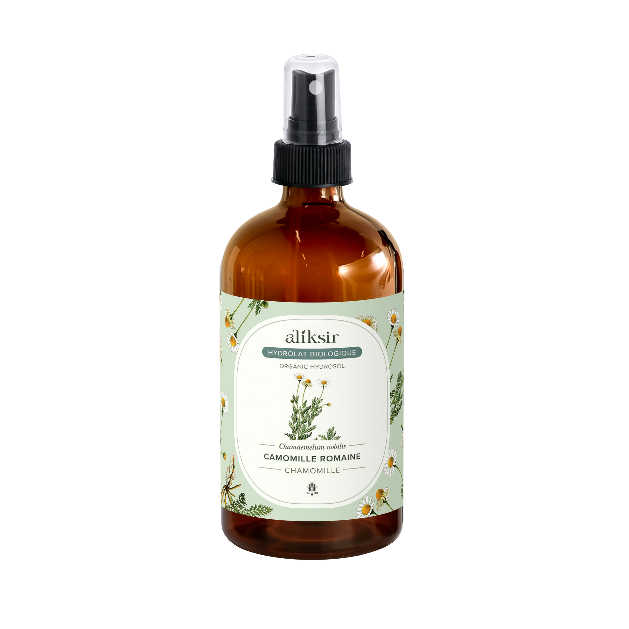 Camomille romaine (Chamaemelum nobile) - Hydrolat bio