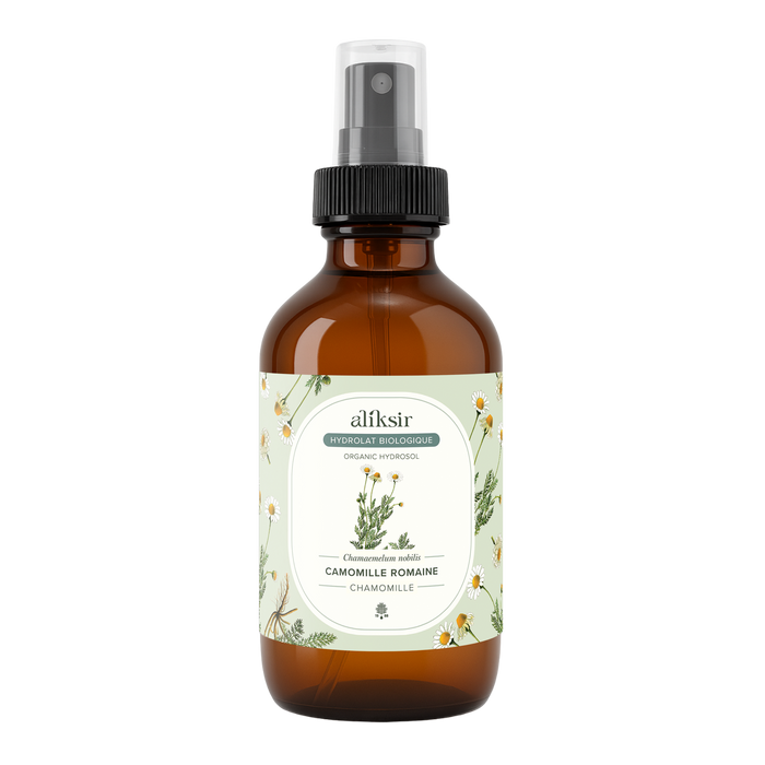 Roman chamomile (Chamaemelum nobile) - Organic hydrosol 