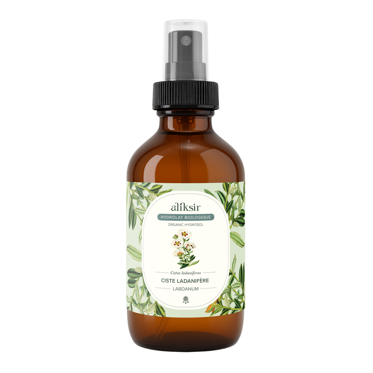 Ciste ladanifère (Cistus ladaniferus) - Hydrolat bio