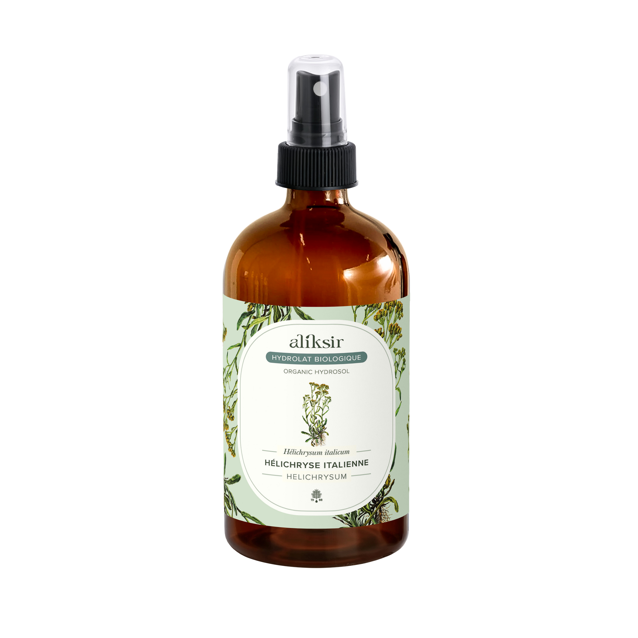 Hélichryse italienne (Helichrysum italicum) - Hydrolat bio