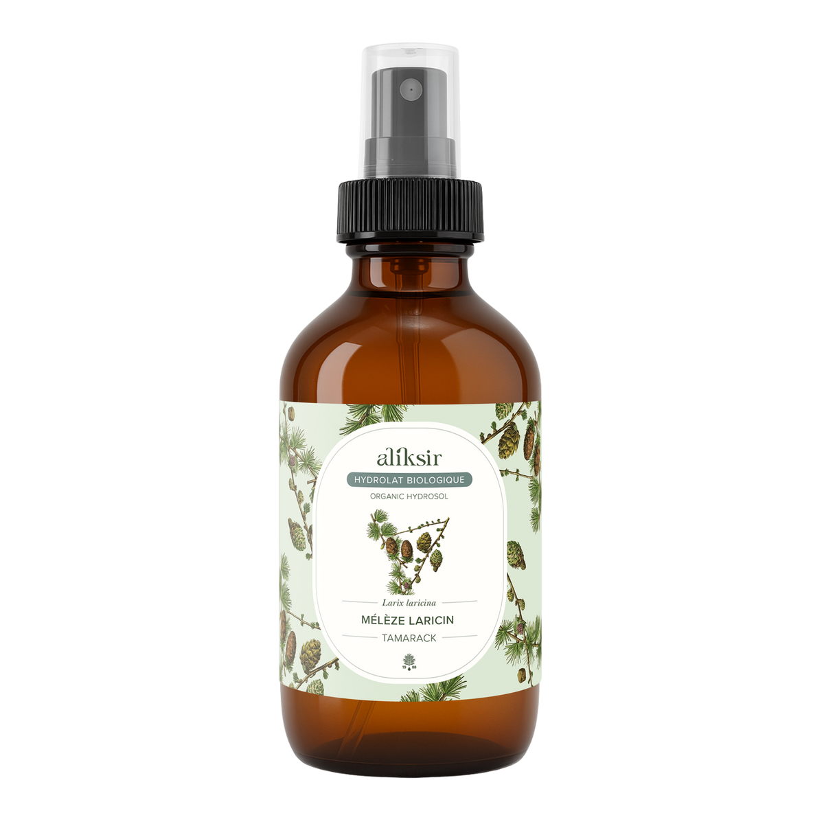 Mélèze laricin (Larix laricina) - Hydrolat bio