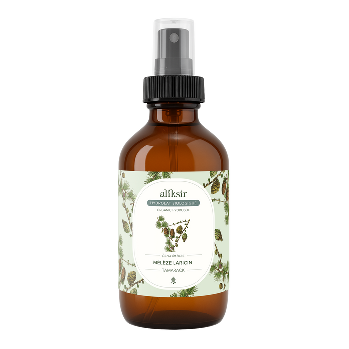 Mélèze laricin (Larix laricina) - Hydrolat bio