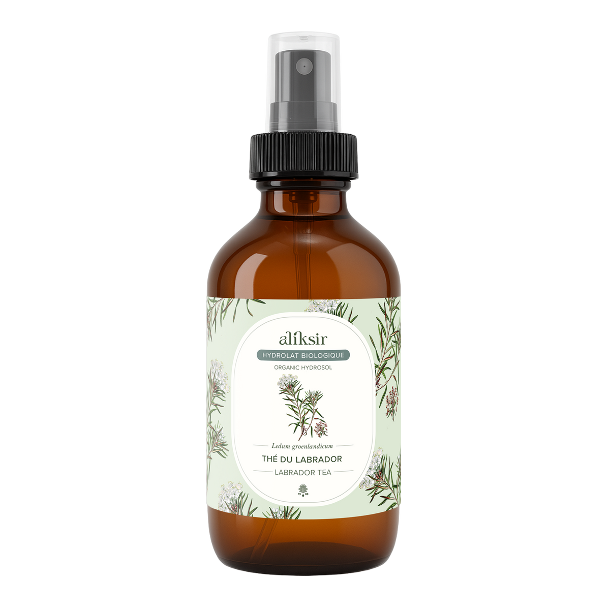 Thé du labrador (Ledum groenlandicum) - Hydrolat bio