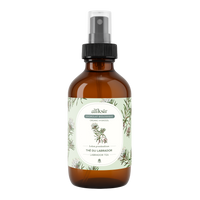 Thé du labrador (Ledum groenlandicum) - Hydrolat bio