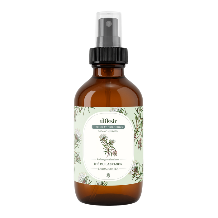 Thé du labrador (Ledum groenlandicum) - Hydrolat bio