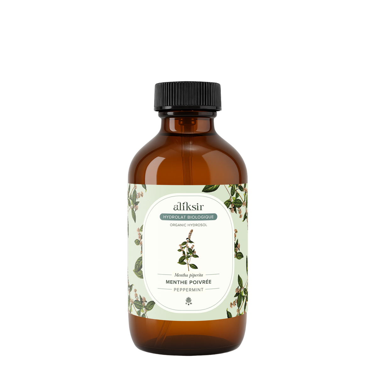 Menthe poivrée (Mentha piperita) Québec - Hydrolat bio