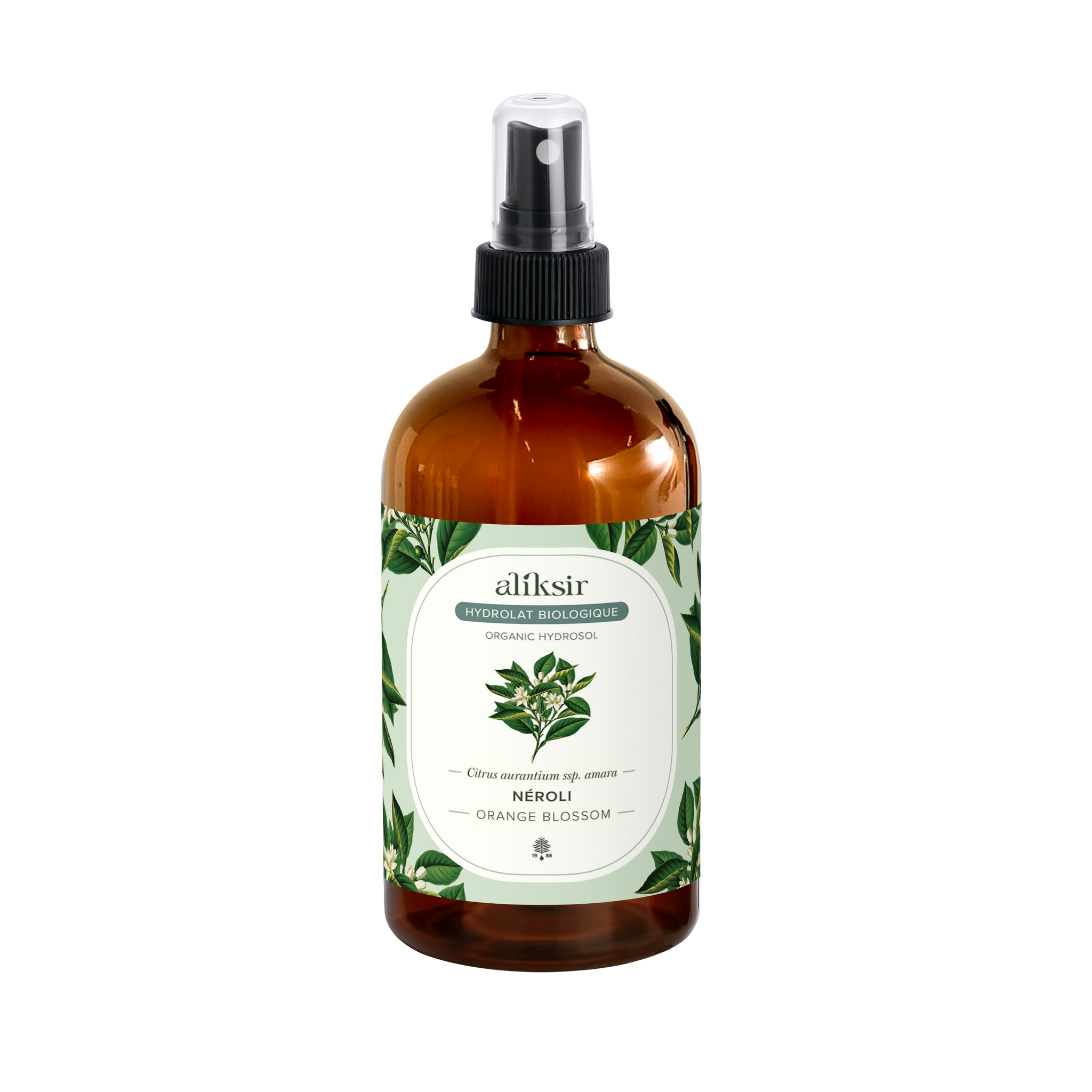 Néroli (Citrus aurantium ssp. amara) - Hydrolat bio