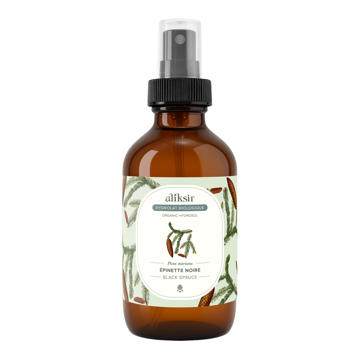 Épinette noire (Picea mariana) - Hydrolat bio
