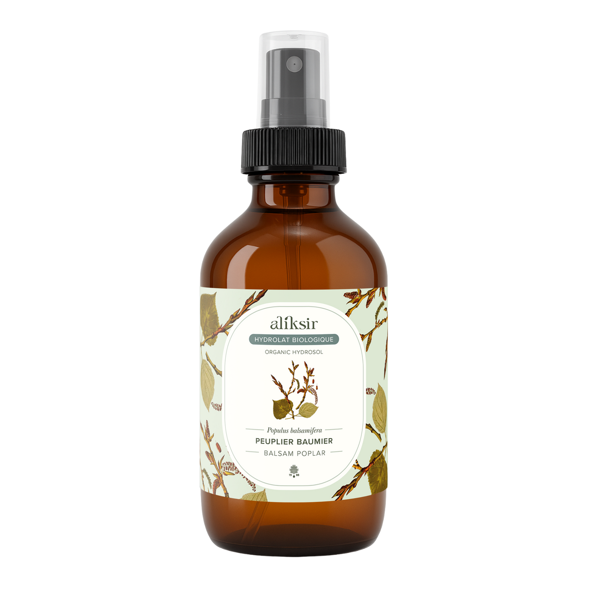 Balsam poplar (Populus balsamifera) - Organic hydrosol