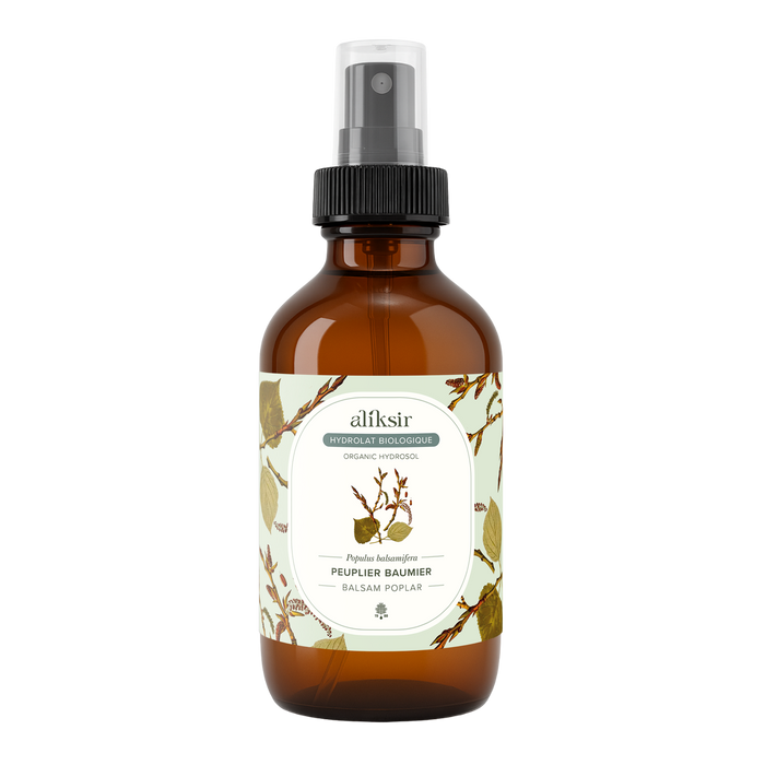 Peuplier baumier (Populus balsamifera) - Hydrolat bio