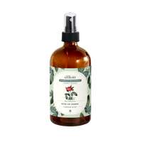 Rose de Damas (Rosa damascena) - Hydrolat bio