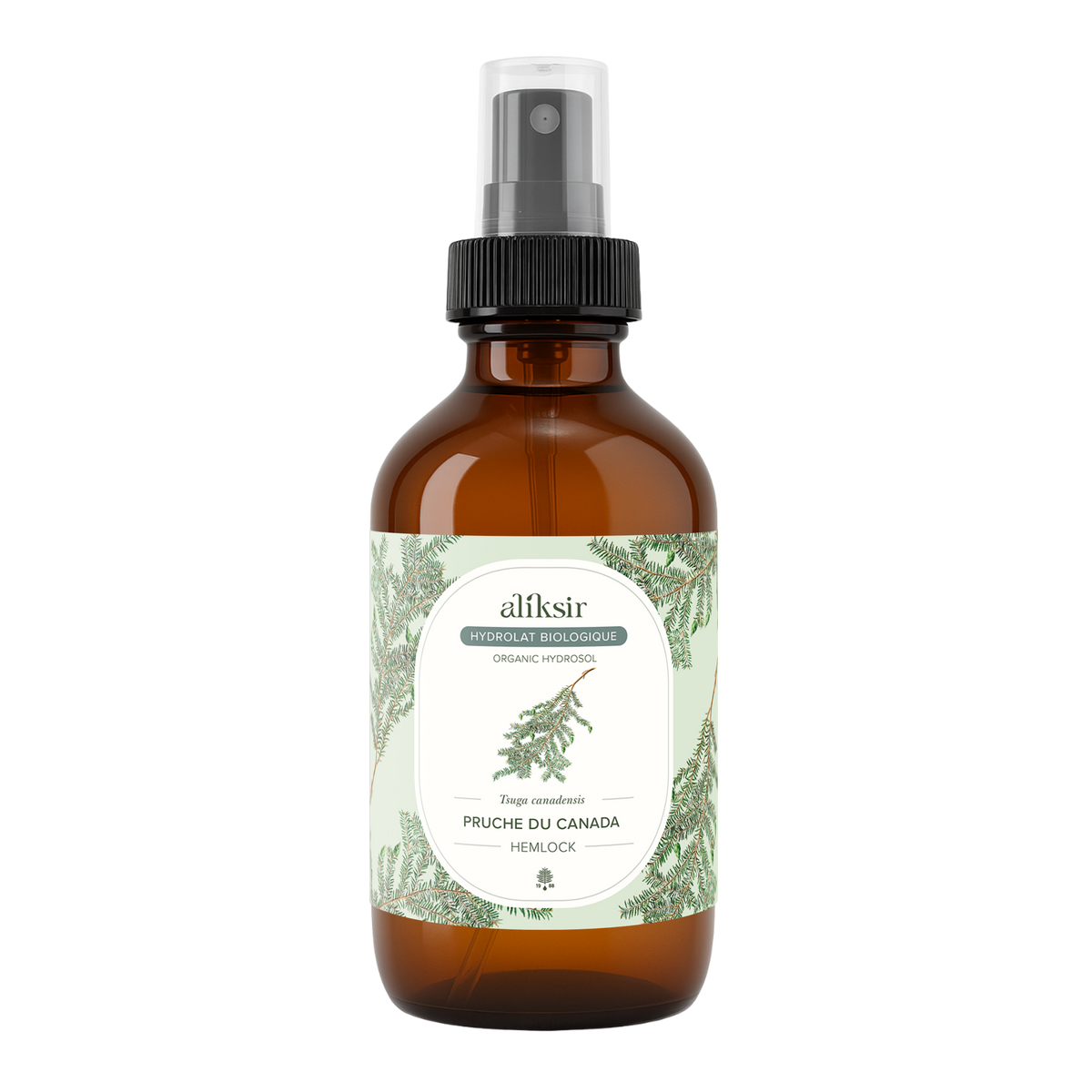 Pruche du Canada (Tsuga Canadensis) - Hydrolat bio