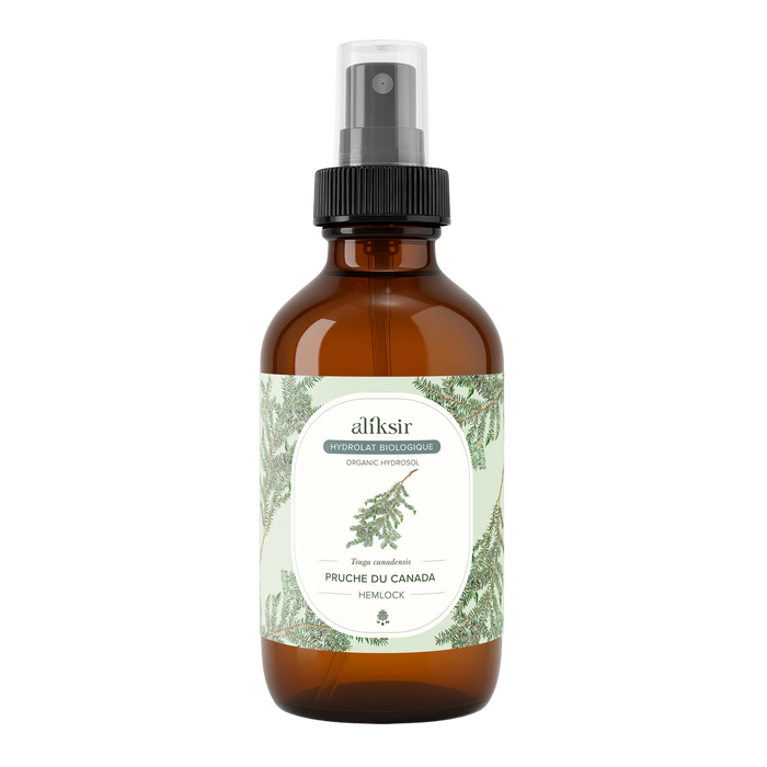 Pruche du Canada (Tsuga Canadensis) - Hydrolat bio