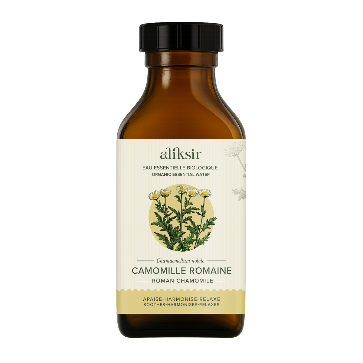 Camomille romaine (Chamaemelum nobile) - Eau essentielle bio