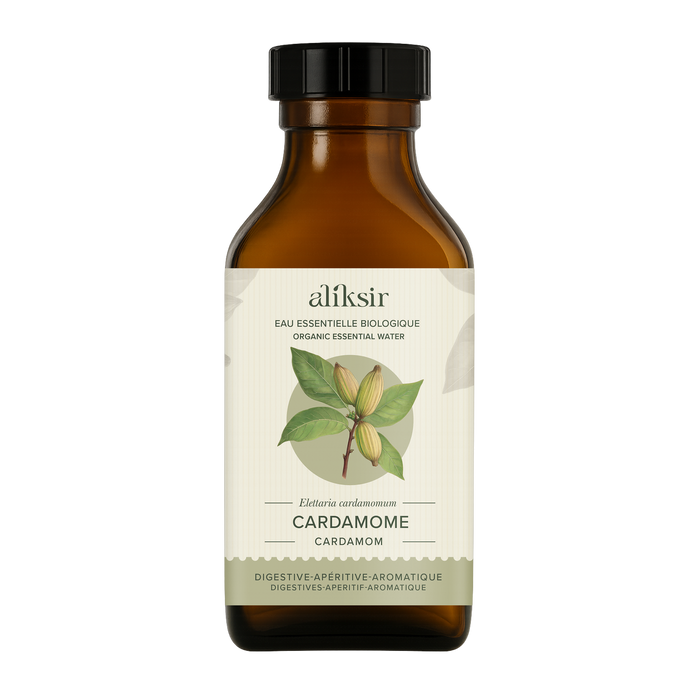 Cardamome (Elettaria cardamomum) - Eau essentielle bio