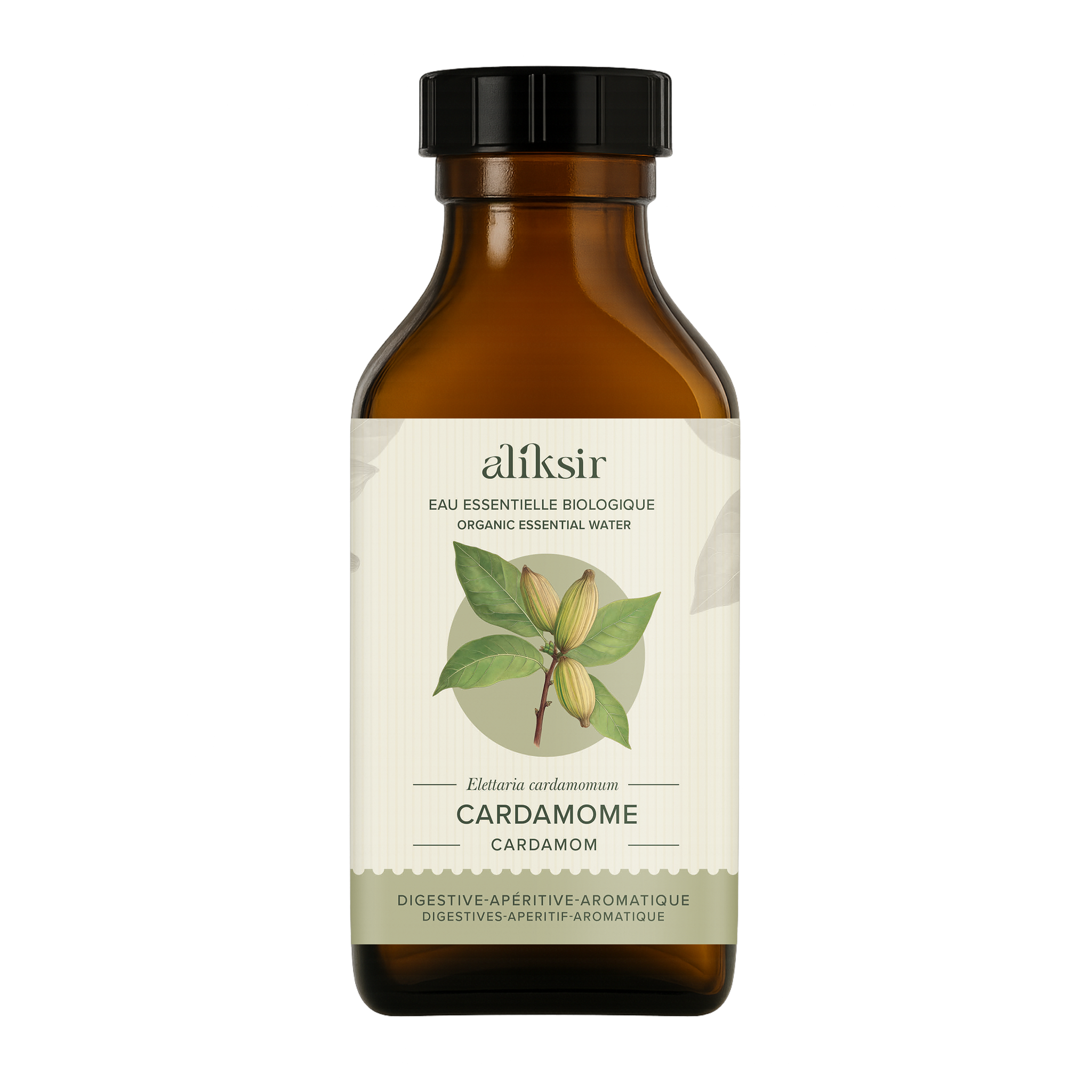 Cardamom (Elettaria cardamomum) - Organic essential water 