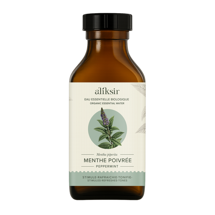 Menthe poivrée (Mentha piperita) - Eau essentielle bio