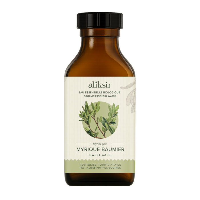 Sweet gale (Myrica gale) - Organic essential water