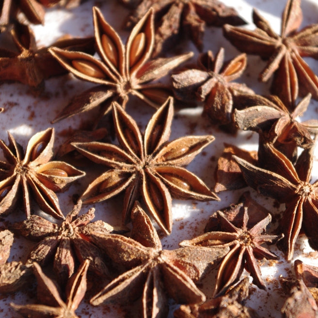 Anis étoilé (Illicium verum) - Huile essentielle bio