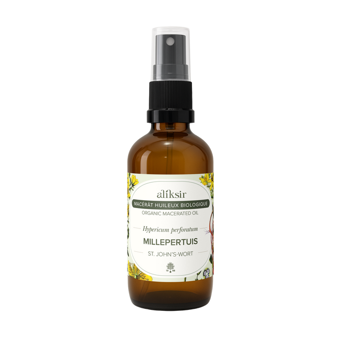 St. John's Wort (Hypericum perforatum) - Organic Oily Macerate